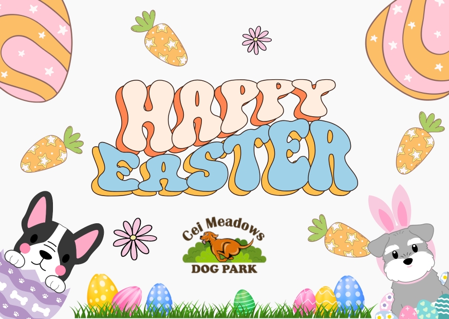 Happy Easter from Cei Meadows