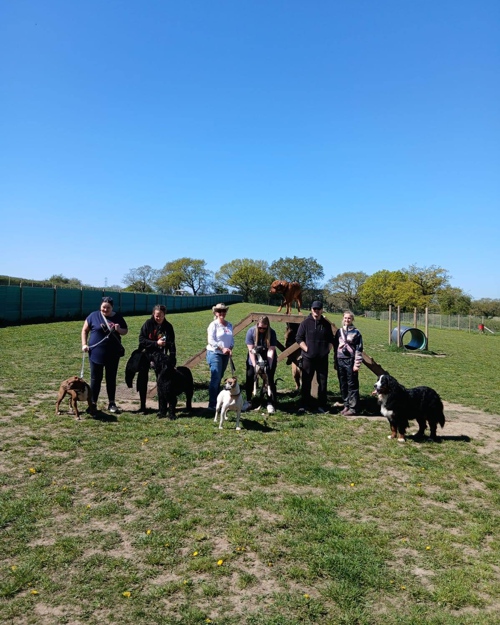 Cei Meadows Dog Park