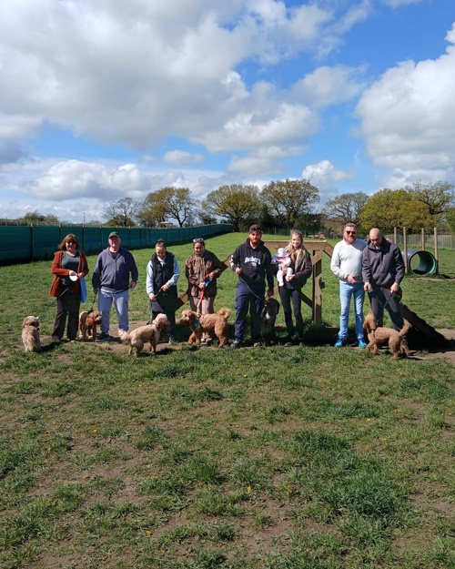 Cei Meadows Dog Park