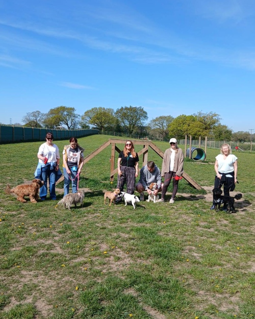 Cei Meadows Dog Park